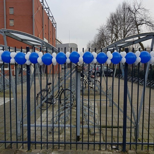 Ballonnen slinger enkel met 5 inch clusters lucht gevuld Ballonnen slinger enkel met 5 inch clusters lucht gevuld